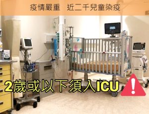 宝宝数学启蒙怎么做:从分类、比较和数量感开始